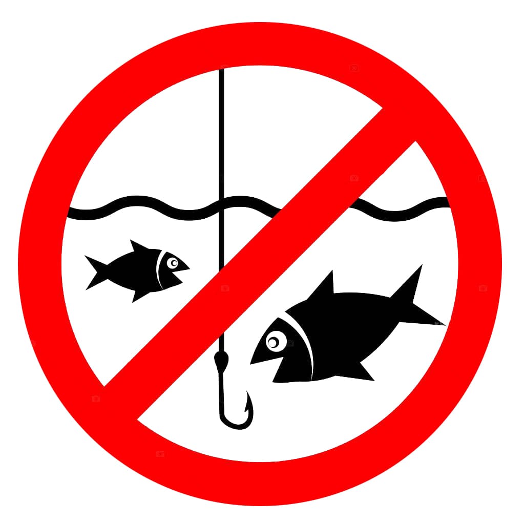 запрет на рыбалку мае
